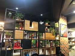 -刺客纹画纹身·洗纹身·穿孔饰品