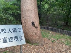 -北陵公园