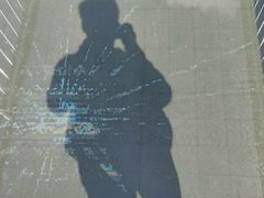 -铜川市金锁关石林