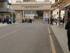 -长洲岛