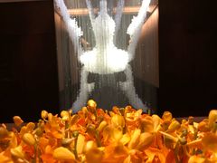 -丽晶轩中餐厅(重庆丽晶酒店)