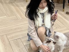 -安格丽娜·狗咖·猫咖羊驼咖(春熙路百盛商场店)