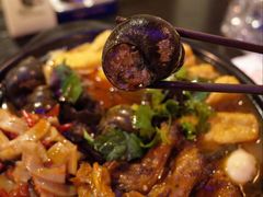 -老表记广西宵夜螺蛳鸭脚煲(西大店)
