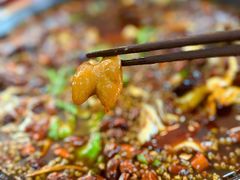 -烧哥美蛙肥肠鱼火锅·十五年社区店