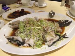 蒸鱼-镛记酒家