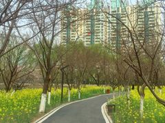 -西北湖绿化广场
