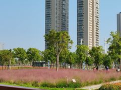 -汉江湾体育公园