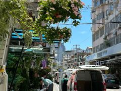 -溪岸路花鸟市场