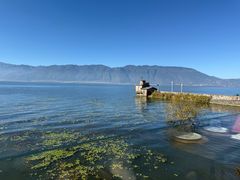 -六阅·福十 FORTEN 海景咖啡西餐厅(双廊古镇店)