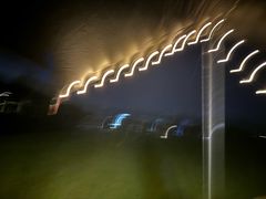 -春花秋色城市公园