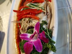 -小贝壳酒楼(经九路店)