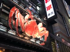 -蟹料理 北海道かに将軍(札幌本店)