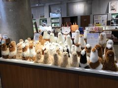 -方所(华润万象城店)