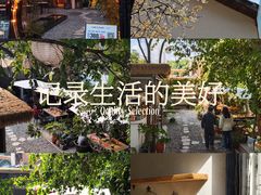 -云里小坐·小院里·团建·宴请·下午茶(三圣乡店)