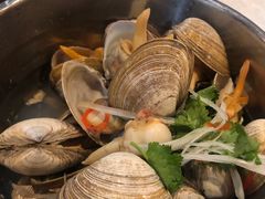 一桶黄蚬-渔娘渔家丹东海鲜(东直门店)