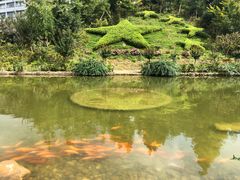 -全国青少年井冈山革命传统教育基地