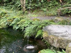-三千院