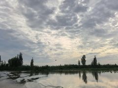 -白洋淀景区