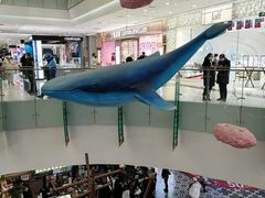 -凯德广场(学府店)