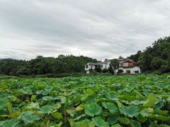 -清漾毛氏文化村