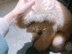 -静香HOUSE·全时段融合餐厅(七星欢乐颂店)