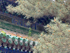 -潭柘寺景区