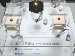 -安徽省地质博物馆