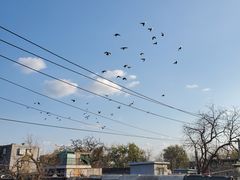 -和木The Home·私厨(鼓楼店)