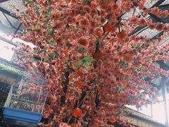-丽江庭院之爱在路上(西单店)