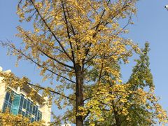 -百林公园-两江幸福广场