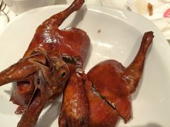 -新雅粤菜馆(南京东路店)