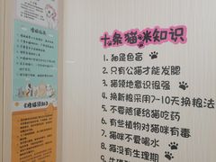 -唐小姐の私宠·宠物洗护美容·撸猫馆·购宠(周浦万达旗舰店)