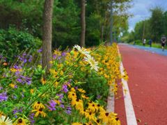 -绥化市森林植物园