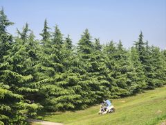 -渭河城市绿地运动公园