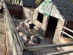-北京鹿世界主题园
