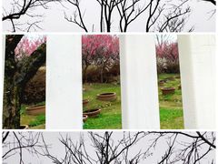 -花开海上生态园