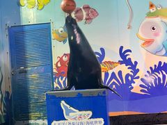 -太平洋海底世界