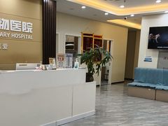 -德元·美联众合24小时动物医院(总院)