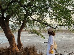 -宝安西湾红树林湿地公园