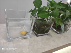 点击看大图 -Return·蕾特恩祛痘·皮肤管理中心