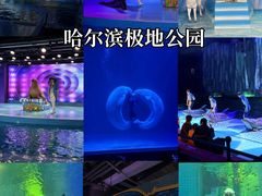 -哈尔滨热雪奇迹