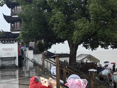 -观潮胜地公园