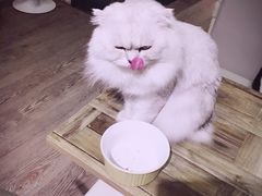 -小时光咖啡馆(开森度假森林店)