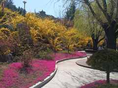 -威海华夏城景区