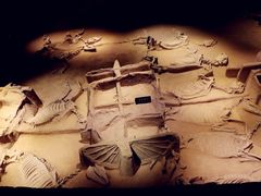 -洛阳周王城天子驾六博物馆