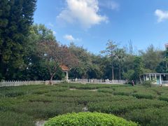 -晓港公园