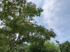 -北京水岸山吧度假村(雁栖镇店)
