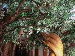 -查龙寺