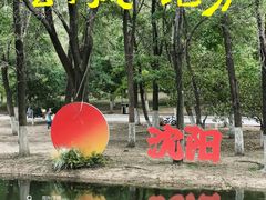 -长白岛森林公园