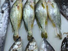 -王四营海鲜市场